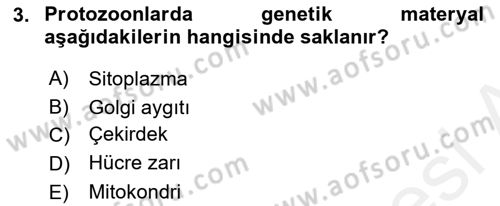 Temel Veteriner Parazitoloji Dersi 2018 - 2019 Yılı (Final) Dönem Sonu Sınavı 3. Soru