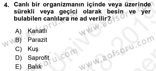 Temel Veteriner Parazitoloji Dersi 2018 - 2019 Yılı (Final) Dönem Sonu Sınavı 4. Soru