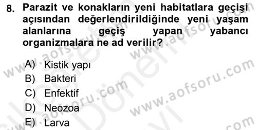 Temel Veteriner Parazitoloji Dersi 2018 - 2019 Yılı (Final) Dönem Sonu Sınavı 8. Soru