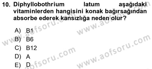 Temel Veteriner Parazitoloji Dersi 2018 - 2019 Yılı Yaz Okulu Sınav Soruları 10. Soru