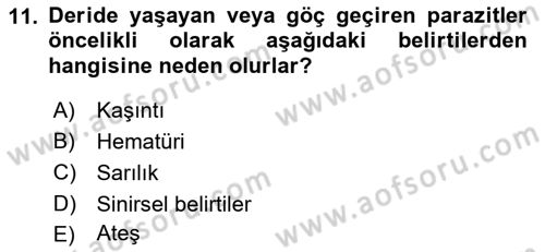 Temel Veteriner Parazitoloji Dersi 2018 - 2019 Yılı Yaz Okulu Sınav Soruları 11. Soru
