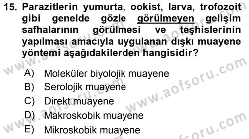 Temel Veteriner Parazitoloji Dersi 2018 - 2019 Yılı Yaz Okulu Sınav Soruları 15. Soru