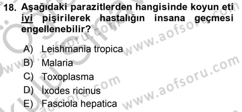Temel Veteriner Parazitoloji Dersi 2018 - 2019 Yılı Yaz Okulu Sınav Soruları 18. Soru
