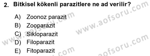 Temel Veteriner Parazitoloji Dersi 2018 - 2019 Yılı Yaz Okulu Sınav Soruları 2. Soru