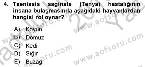 Temel Veteriner Parazitoloji Dersi 2018 - 2019 Yılı Yaz Okulu Sınav Soruları 4. Soru