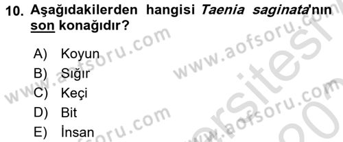 Temel Veteriner Parazitoloji Dersi 2020 - 2021 Yılı Yaz Okulu Sınav Soruları 10. Soru