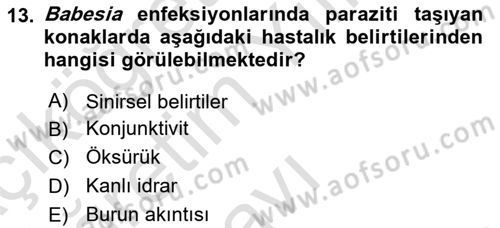 Temel Veteriner Parazitoloji Dersi 2020 - 2021 Yılı Yaz Okulu Sınav Soruları 13. Soru