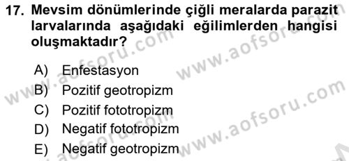 Temel Veteriner Parazitoloji Dersi 2020 - 2021 Yılı Yaz Okulu Sınav Soruları 17. Soru