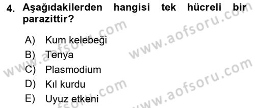Temel Veteriner Parazitoloji Dersi 2020 - 2021 Yılı Yaz Okulu Sınav Soruları 4. Soru
