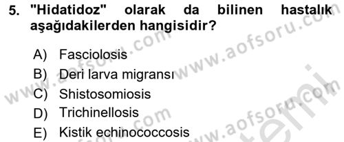 Temel Veteriner Parazitoloji Dersi 2020 - 2021 Yılı Yaz Okulu Sınav Soruları 5. Soru