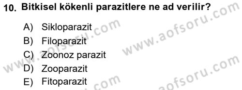 Temel Veteriner Parazitoloji Dersi 2021 - 2022 Yılı (Vize) Ara Sınav Soruları 10. Soru
