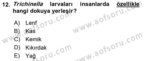 Temel Veteriner Parazitoloji Dersi 2021 - 2022 Yılı (Vize) Ara Sınav Soruları 12. Soru