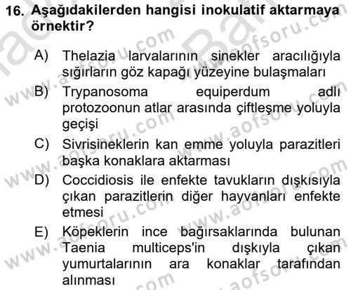 Temel Veteriner Parazitoloji Dersi 2021 - 2022 Yılı (Vize) Ara Sınav Soruları 16. Soru