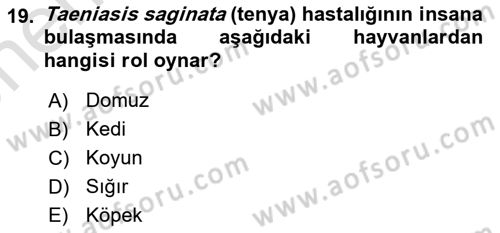 Temel Veteriner Parazitoloji Dersi 2021 - 2022 Yılı (Vize) Ara Sınav Soruları 19. Soru