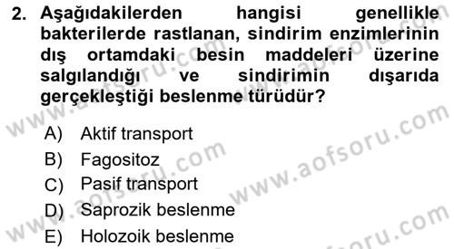 Temel Veteriner Parazitoloji Dersi 2021 - 2022 Yılı (Vize) Ara Sınavı 2. Soru