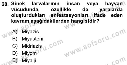 Temel Veteriner Parazitoloji Dersi 2021 - 2022 Yılı (Vize) Ara Sınav Soruları 20. Soru
