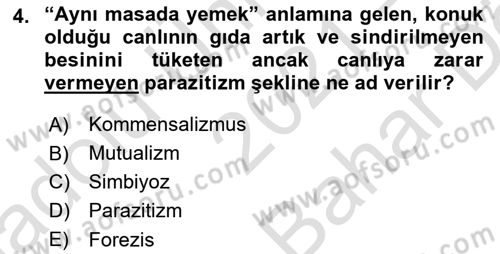 Temel Veteriner Parazitoloji Dersi 2021 - 2022 Yılı (Vize) Ara Sınav Soruları 4. Soru