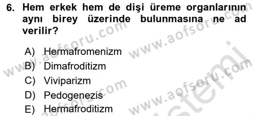 Temel Veteriner Parazitoloji Dersi 2021 - 2022 Yılı (Vize) Ara Sınav Soruları 6. Soru
