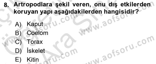 Temel Veteriner Parazitoloji Dersi 2021 - 2022 Yılı (Vize) Ara Sınav Soruları 8. Soru