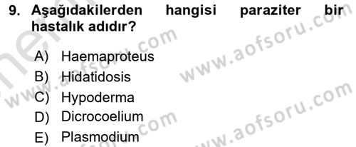 Temel Veteriner Parazitoloji Dersi 2021 - 2022 Yılı (Vize) Ara Sınav Soruları 9. Soru