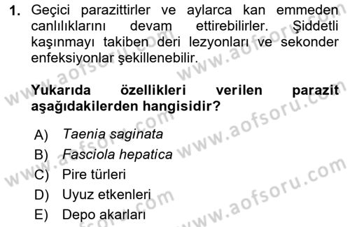 Temel Veteriner Parazitoloji Dersi 2021 - 2022 Yılı (Final) Dönem Sonu Sınavı 1. Soru