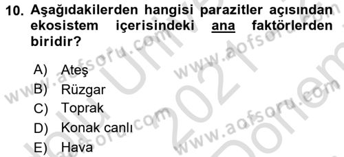 Temel Veteriner Parazitoloji Dersi 2021 - 2022 Yılı (Final) Dönem Sonu Sınavı 10. Soru