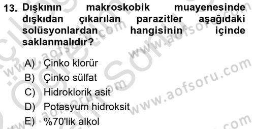 Temel Veteriner Parazitoloji Dersi 2021 - 2022 Yılı (Final) Dönem Sonu Sınavı 13. Soru