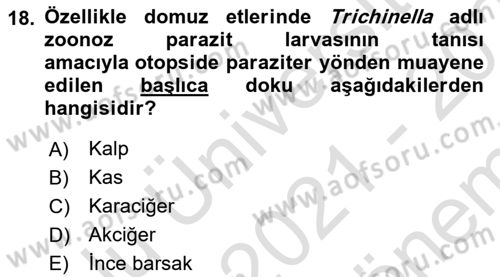 Temel Veteriner Parazitoloji Dersi 2021 - 2022 Yılı (Final) Dönem Sonu Sınavı 18. Soru