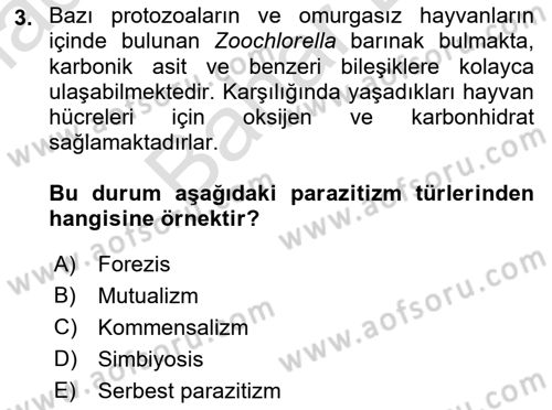 Temel Veteriner Parazitoloji Dersi 2021 - 2022 Yılı (Final) Dönem Sonu Sınavı 3. Soru