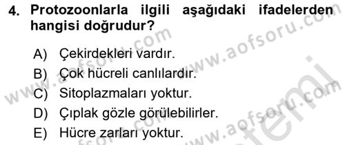 Temel Veteriner Parazitoloji Dersi 2021 - 2022 Yılı (Final) Dönem Sonu Sınavı 4. Soru