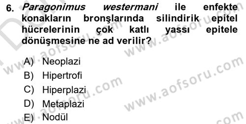 Temel Veteriner Parazitoloji Dersi 2021 - 2022 Yılı (Final) Dönem Sonu Sınavı 6. Soru