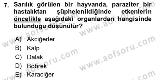 Temel Veteriner Parazitoloji Dersi 2021 - 2022 Yılı (Final) Dönem Sonu Sınavı 7. Soru