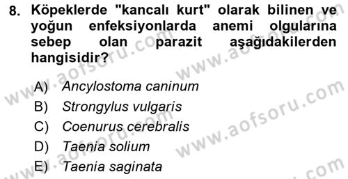 Temel Veteriner Parazitoloji Dersi 2021 - 2022 Yılı (Final) Dönem Sonu Sınavı 8. Soru