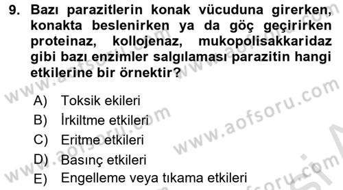 Temel Veteriner Parazitoloji Dersi 2021 - 2022 Yılı (Final) Dönem Sonu Sınavı 9. Soru