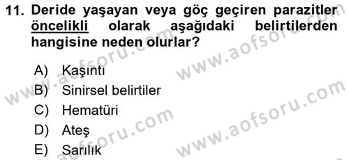 Temel Veteriner Parazitoloji Dersi 2021 - 2022 Yılı Yaz Okulu Sınav Soruları 11. Soru