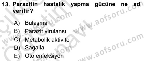 Temel Veteriner Parazitoloji Dersi 2021 - 2022 Yılı Yaz Okulu Sınav Soruları 13. Soru
