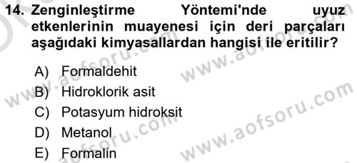 Temel Veteriner Parazitoloji Dersi 2021 - 2022 Yılı Yaz Okulu Sınav Soruları 14. Soru