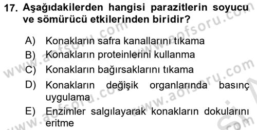 Temel Veteriner Parazitoloji Dersi 2021 - 2022 Yılı Yaz Okulu Sınav Soruları 17. Soru