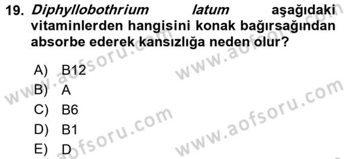 Temel Veteriner Parazitoloji Dersi 2021 - 2022 Yılı Yaz Okulu Sınav Soruları 19. Soru