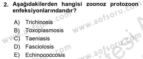 Temel Veteriner Parazitoloji Dersi 2021 - 2022 Yılı Yaz Okulu Sınav Soruları 2. Soru