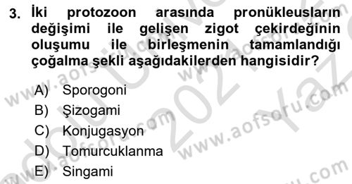 Temel Veteriner Parazitoloji Dersi 2021 - 2022 Yılı Yaz Okulu Sınav Soruları 3. Soru