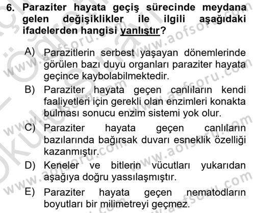 Temel Veteriner Parazitoloji Dersi 2021 - 2022 Yılı Yaz Okulu Sınav Soruları 6. Soru