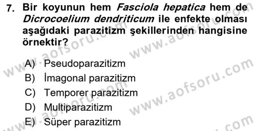 Temel Veteriner Parazitoloji Dersi 2021 - 2022 Yılı Yaz Okulu Sınav Soruları 7. Soru
