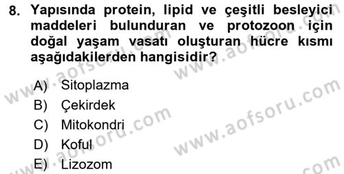 Temel Veteriner Parazitoloji Dersi 2021 - 2022 Yılı Yaz Okulu Sınav Soruları 8. Soru