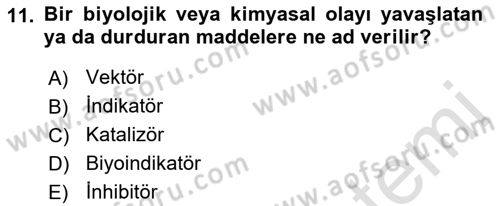 Temel Veteriner Parazitoloji Dersi 2022 - 2023 Yılı Yaz Okulu Sınav Soruları 11. Soru