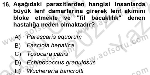Temel Veteriner Parazitoloji Dersi 2022 - 2023 Yılı Yaz Okulu Sınav Soruları 16. Soru