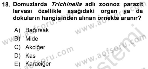 Temel Veteriner Parazitoloji Dersi 2022 - 2023 Yılı Yaz Okulu Sınav Soruları 18. Soru