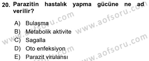 Temel Veteriner Parazitoloji Dersi 2022 - 2023 Yılı Yaz Okulu Sınav Soruları 20. Soru