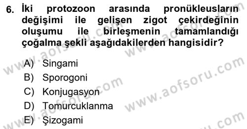 Temel Veteriner Parazitoloji Dersi 2022 - 2023 Yılı Yaz Okulu Sınav Soruları 6. Soru