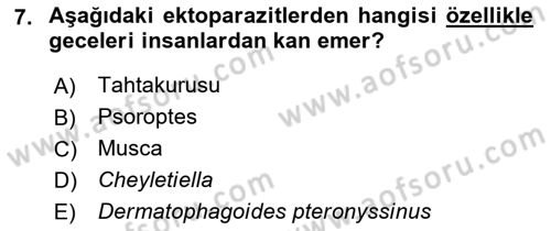 Temel Veteriner Parazitoloji Dersi 2022 - 2023 Yılı Yaz Okulu Sınav Soruları 7. Soru